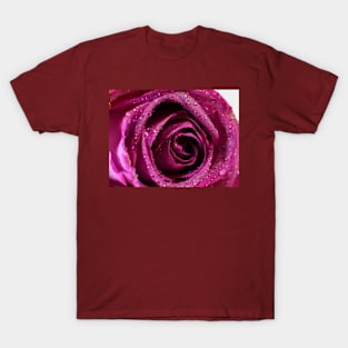 A pink rose T-Shirt